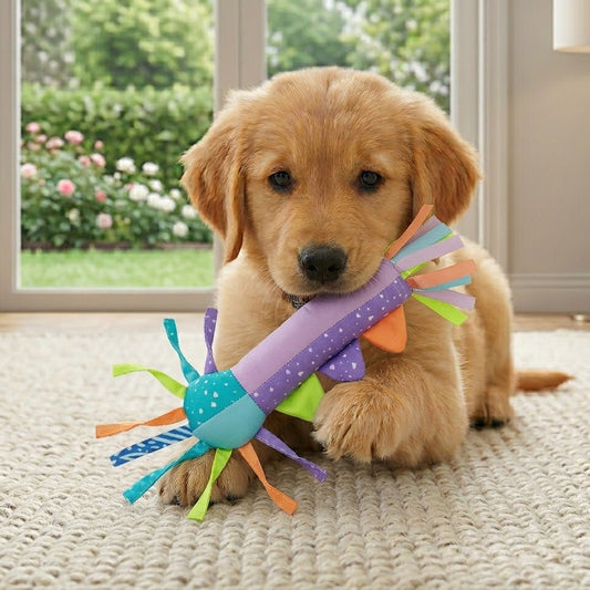 Yummolocosh | The Sensory Teether: A Multi-Textured Gentle Chew Toy Designed for Developing Puppies
