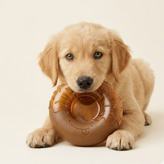 Yummolocosh Artisanal Pumpkin & Peanut Butter Dental Ring – Geometric Chew Toy for Modern Pet Homes – Premium Non-Toxic Oral Hygiene Teether