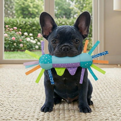 Yummolocosh | The Sensory Teether: A Multi-Textured Gentle Chew Toy Designed for Developing Puppies